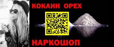шишки Дубна