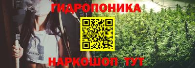мдпв Донской