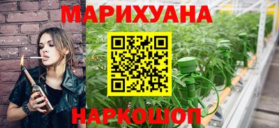 шишки Дубна