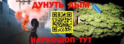 шишки Дубна