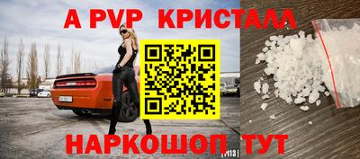 шишки Дубна